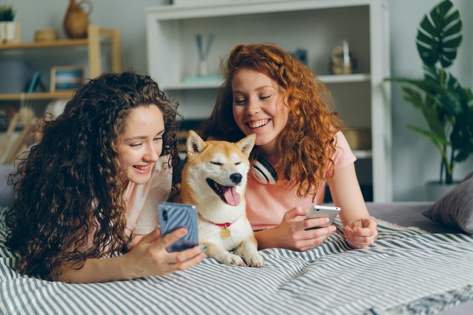 house smile - two women laying on a bed with a dog