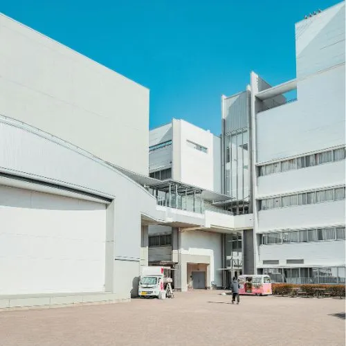 Brisbane commercial buyers agent checking white building
